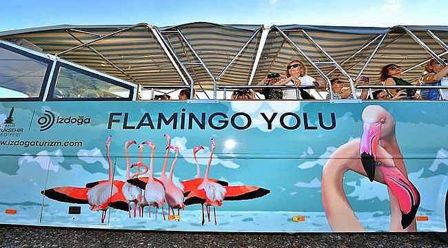 Doğaseverler Flamingo Festivali'nde buluşacak 