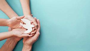 Dünya Barışına Destek Olmak İçin Bireysel Olarak Neler Yapabilirsiniz? 