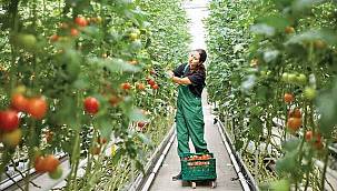 Sera OSB'ler mutlaka jeotermal kaynaklarla bütünleşmeli 