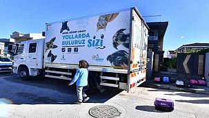 İzmir'de mobil araçla kısırlaştırma hizmeti sürüyor 