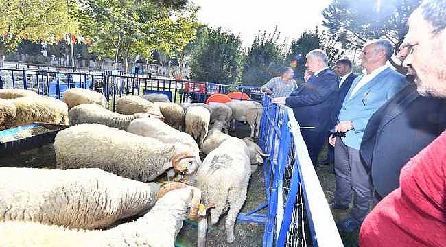 Yerel üreticiye ve kırsala destek sürüyor 