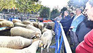 Yerel üreticiye ve kırsala destek sürüyor 