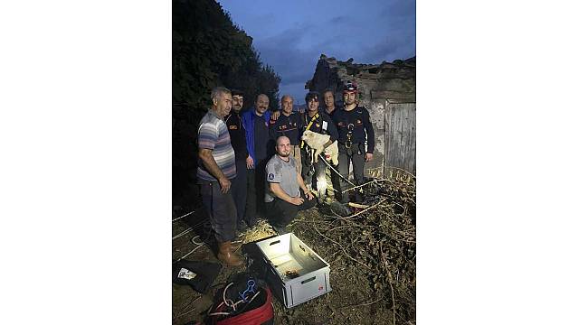 Bir aydır kayıp olan Pamuk'u İzmir İtfaiyesi sahibine kavuşturdu