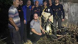 Bir aydır kayıp olan Pamuk'u İzmir İtfaiyesi sahibine kavuşturdu