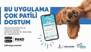 Büyükşehir'den can dostlar için "Pako"  mobil uygulaması