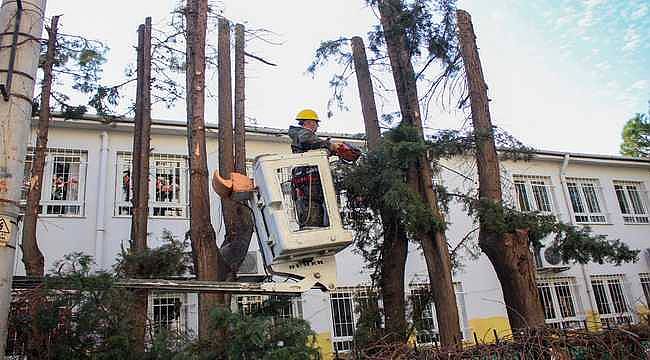 Karşıyaka'da çevre düzenleme çalışmaları hızla devam ediyor