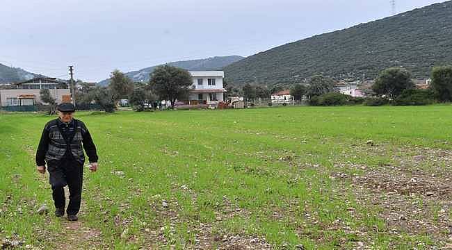 İzmir Büyükşehir çiftçi için arazilerini üretime kazandırdı