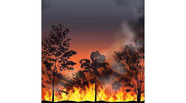 Orman yangınlarına 11 dakikadan önce müdahale edilebilir