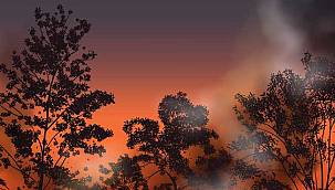 Orman yangınlarına 11 dakikadan önce müdahale edilebilir