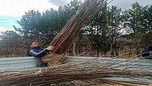 Eskişehir'den İzmir'e dut fidanı hibesi