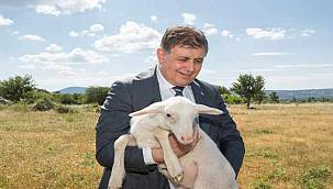 Başkan Tugay'dan Bergama'da altın madenine karşı birlik mesajı:"Hepimizin mücadele etmesi gerek"