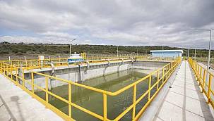 İzmir Büyükşehir Belediyesi'nden açıklama: "Keçilerin ölüm nedeni zehirlenme değil"