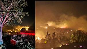 Dikili'de çıkan yangın kontrol altına alındı