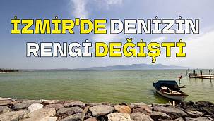 Renk değişimine plankton patlamaları neden oldu 