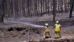 İzmir'in ateş savaşçıları ağaçlar için nöbette 
