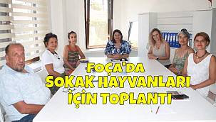 Foça'da Sokak Hayvanlarının Durumu Değerlendirildi: Yaşatma Sözü
