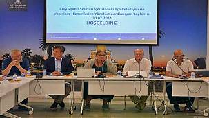 Sokakta yaşayan canlar için eylem planı hazırlanıyor