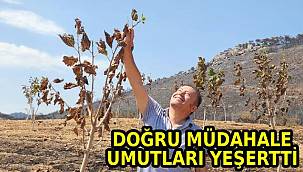 Doğru müdahale umutları yeşertti