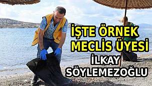 Uluslararası Kıyı Temizliği Günü: Foça ve Çeşme'de Eş Zamanlı Temizlik Faaliyeti