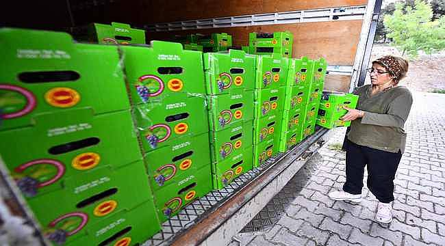 İzmir Büyükşehir Belediyesi 10 ton Kavacık üzümü dağıtıyor