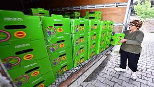 İzmir Büyükşehir Belediyesi 10 ton Kavacık üzümü dağıtıyor