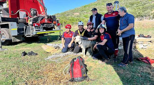 İzmir İtfaiyesi'nden yürekleri ısıtan kurtarma operasyonu