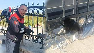 Kafası demir parmaklıklara sıkışan köpek itfaiye tarafından kurtarıldı