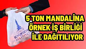 5 ton mandalina örnek iş birliği ile dağıtılıyor