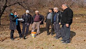 İzmir'de kestane kanseri ile mücadele sürüyor