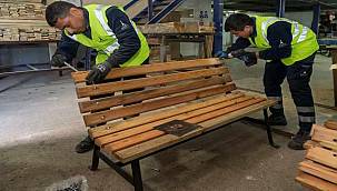 Budanan ağaçlar geri dönüştürülüyor