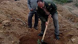 Çeşme Damla Sakızı Üretimi Büyüyor!