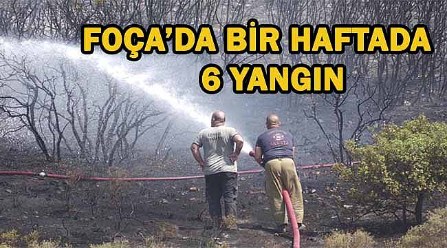 Foça'da Bir Haftada 6 Yangın