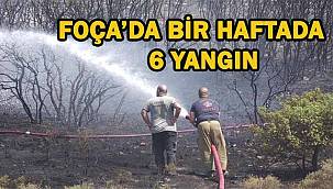 Foça'da Bir Haftada 6 Yangın