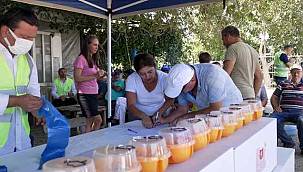 Büyükşehir'den üreticiye Akdeniz meyve sineği ile mücadele desteği