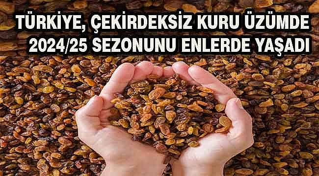 Türkiye, çekirdeksiz kuru üzümde 2024/25 sezonunu enlerde yaşadı
