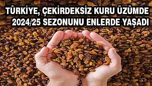 Türkiye, çekirdeksiz kuru üzümde 2024/25 sezonunu enlerde yaşadı