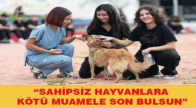 4 Ekim Dünya Hayvanları Koruma Günü: "Sahipsiz hayvanlara kötü muamele son bulsun"