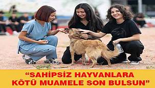 4 Ekim Dünya Hayvanları Koruma Günü: "Sahipsiz hayvanlara kötü muamele son bulsun"
