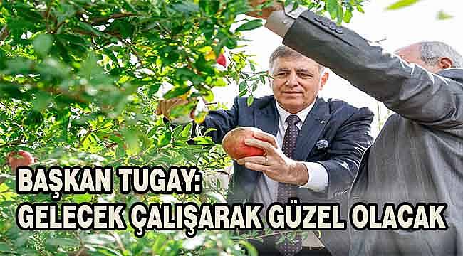 Başkan Tugay, Selçuklu çiftçilerle nar hasadı yaptı