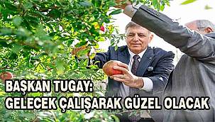 Başkan Tugay, Selçuklu çiftçilerle nar hasadı yaptı