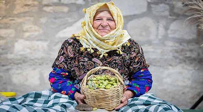 2. Uluslararası Zeytin ve Sanat Festivali başladı