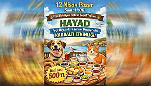 Foça'da Sokak Hayvanları İçin Kahvaltı Etkinliği