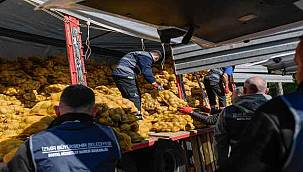 Yangın mağduru üreticinin ürünü tarlada kalmadı: İzmir Büyükşehir 300 ton patates satın aldı 